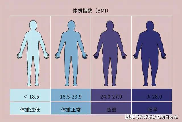 合理减肥的科学原理是什么_什么是合理膳食