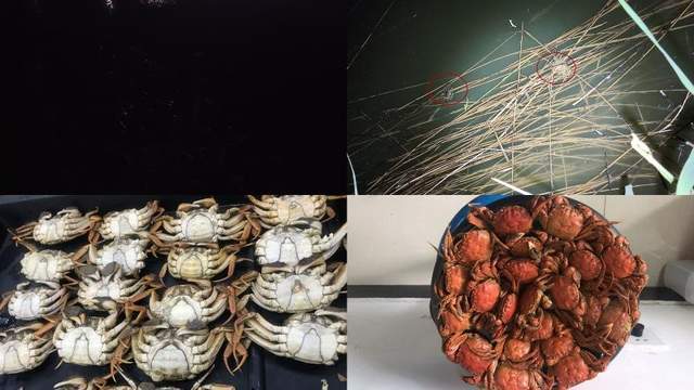 必备|高强度、长续航、夜钓必备单品——傲雷战术手电体验