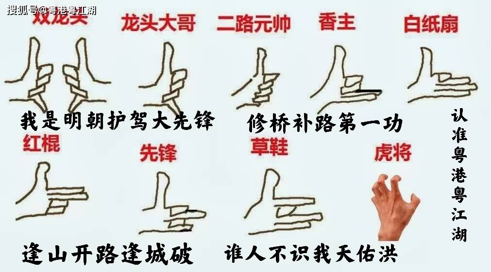 黑帮任职白纸扇的元老,在大陆搞扎职,被查并自称新义安而被捕