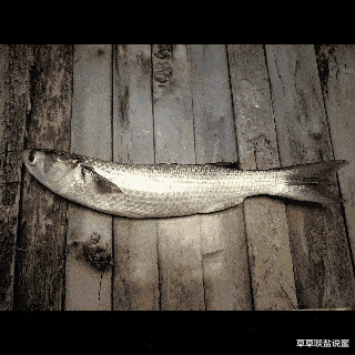 香炸乌鲻鱼只要两样调料表皮酥脆鱼肉鲜嫩