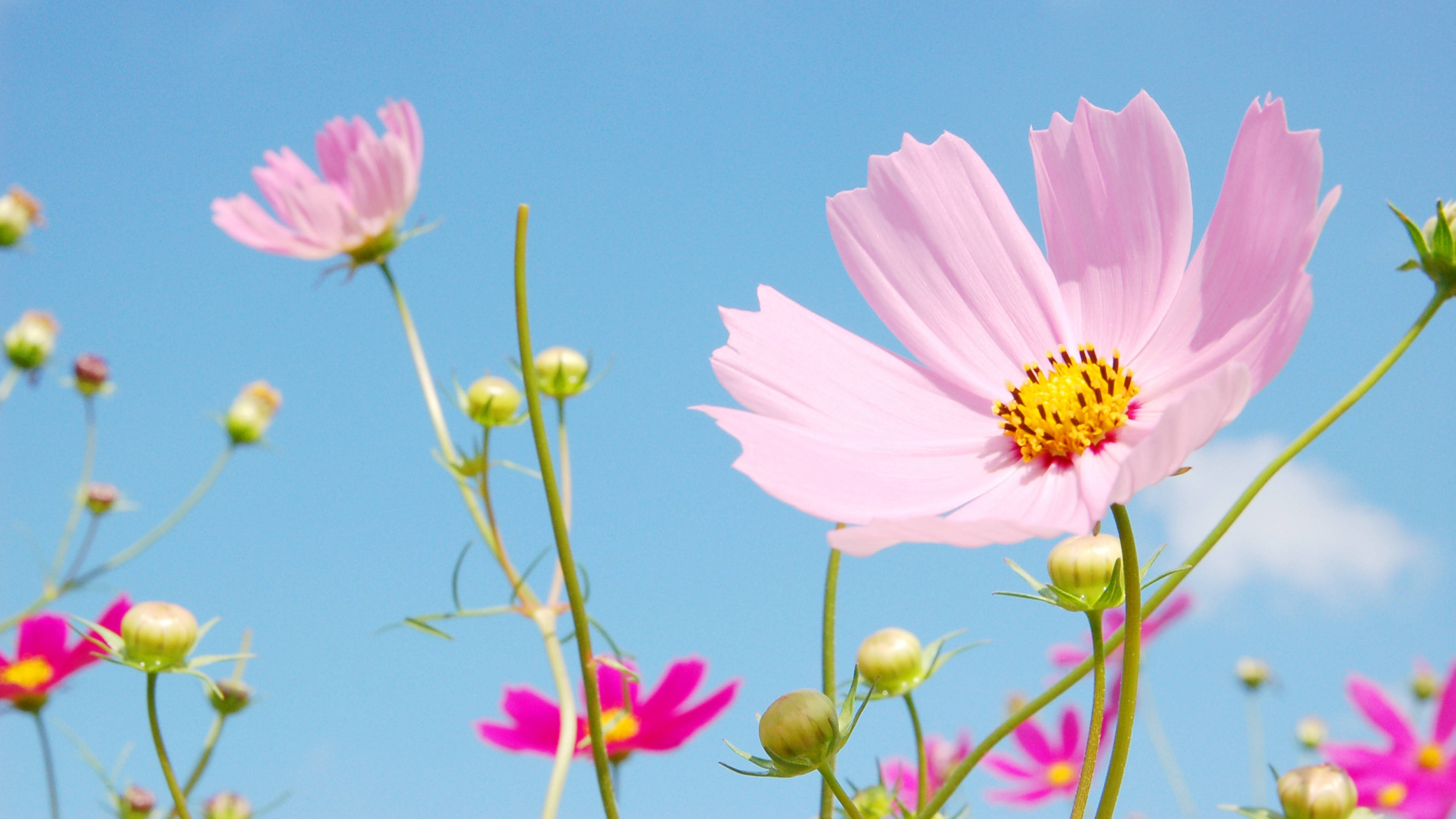 6月16日星座运势 重拾锐气 拔得头筹的四大星座 生活