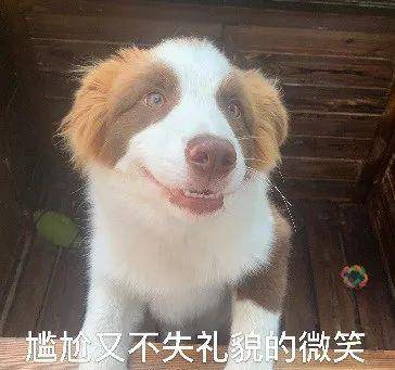 ff3e1e527e3043d49d2670eb9bb231d4.jpeg