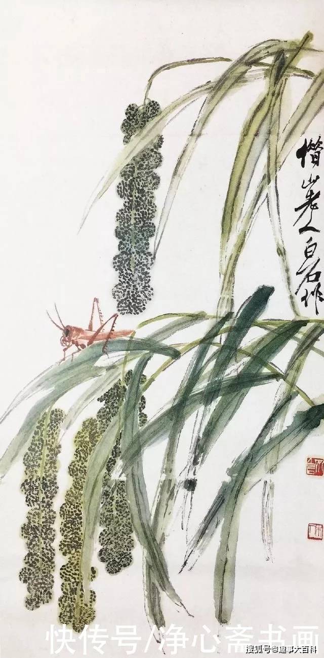 国画大师齐白石画虾几十年变法70岁达到成熟阶段及其精微