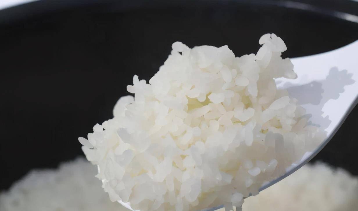 米饭怎么煮好吃点 613670c4c1ff43b096019c3218cea549.jpeg