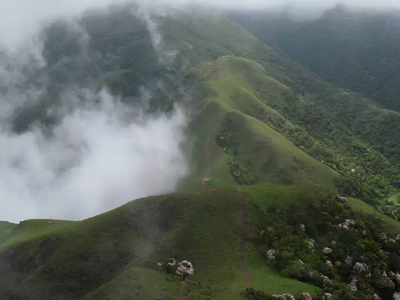 藏在广东的八大草原每一个都是风景美如画你去过吗