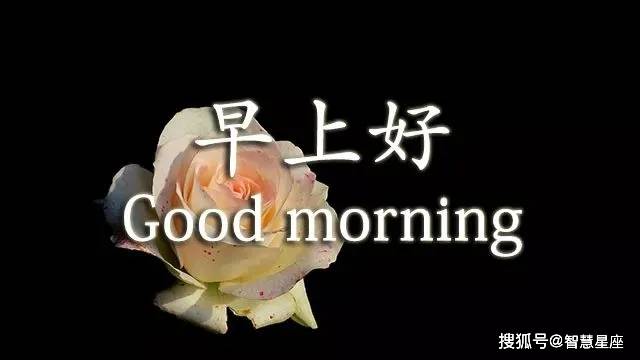 6月17日最新的早上好问候语动图早上好表情图动态 朋友
