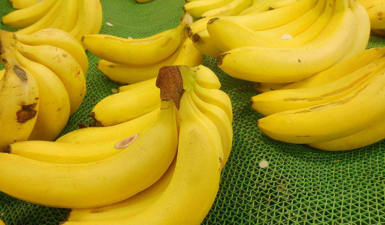 为什么香蕉打卡用不了 香蕉打卡app
