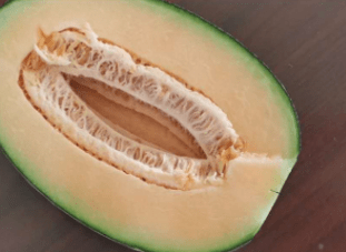 哈密瓜怎么吃最甜 1f6377cfdeb1482d88a6db2333833523.png