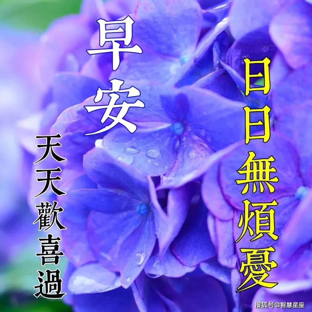 6月18日夏天早安問候祝福圖片帶字推薦 朋友圈溫馨早上好問候暖心語錄