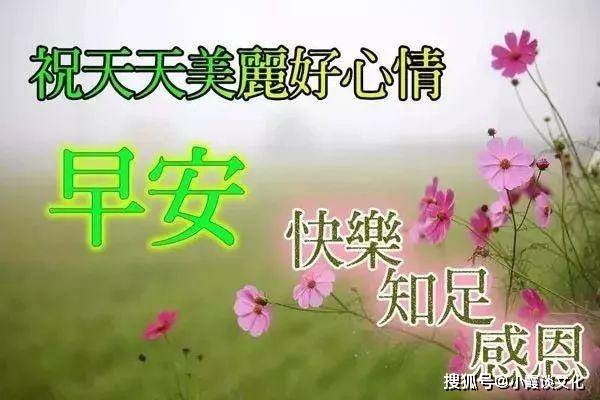 eb0e43e26bd146a88a9a1d0a7b1376ec.jpeg