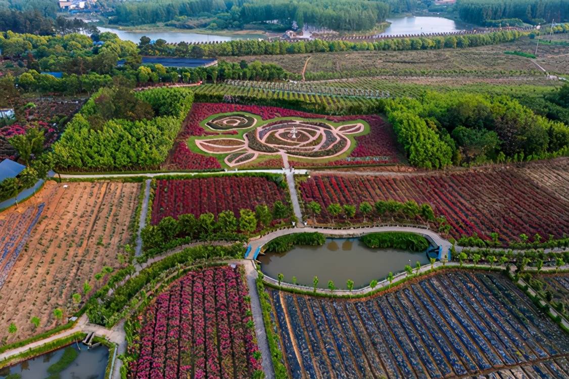 南京创意休闲农业的实践与探索