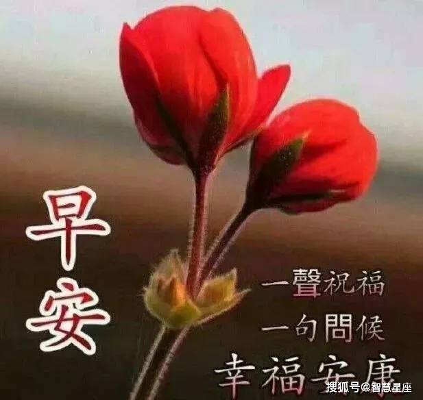 485e7ce523d74728a97e1404f011c1ef.jpeg