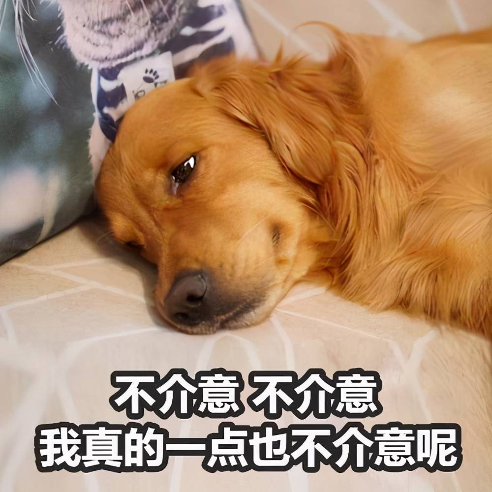 50d966c1247548e5a501a1ccd40ec497.jpeg