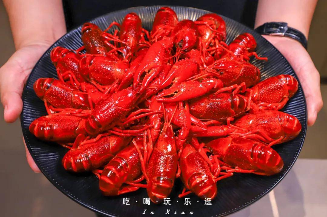 西北第①家夜宵神话巴厘龙虾来西安啦明天就去曲江嗦虾啦
