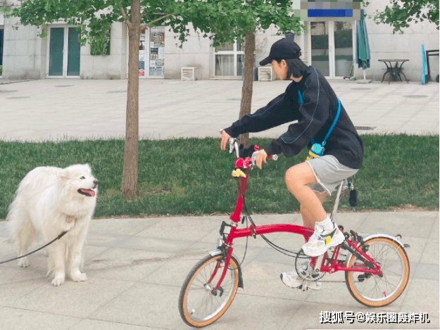 夏季骑哈雷怎么穿搭_男生夏季穿搭