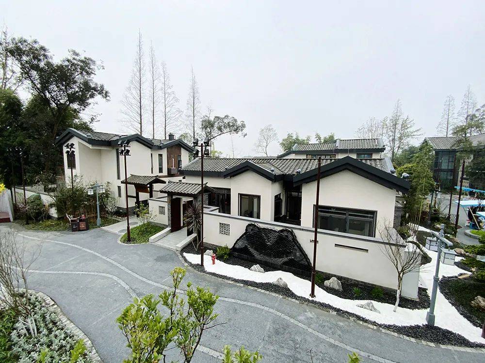 3000元一晚依旧一房难求民宿ip集群兴起途远赋能乡村振兴