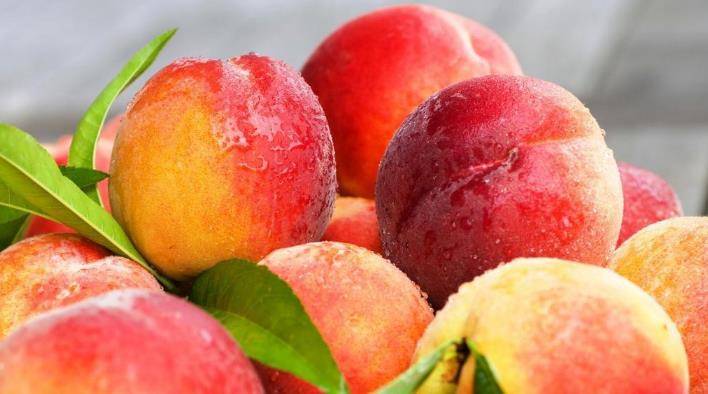 怎么样挑选桃子好吃又甜 7ddbfa892f8344e5ab67b62992d59a86.jpeg