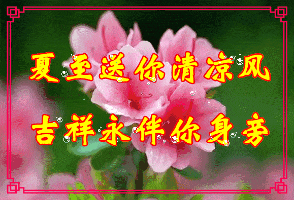 夏至早安问候语动态表情图片 夏至早上好表情动态图片_祝福
