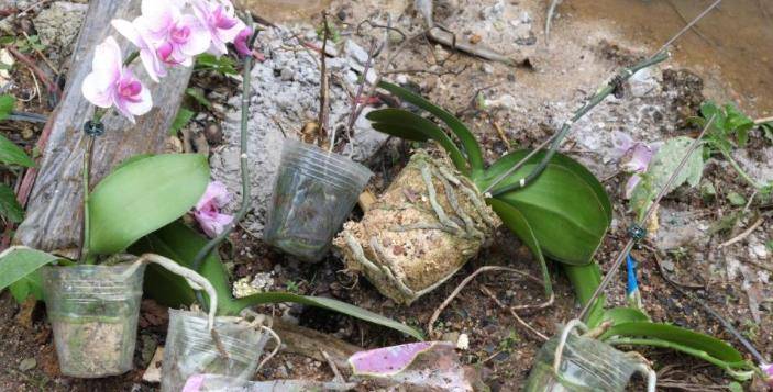996f32fafaab44028ec33422a74b8fba.jpeg