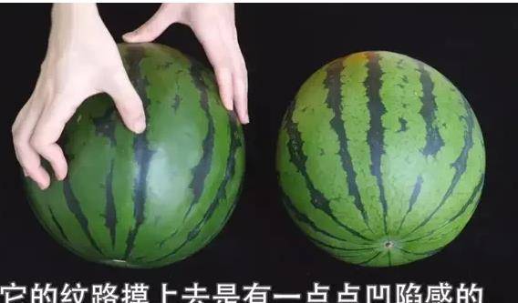 西瓜怎么分辨熟了 c07b415381734801a643c0fda487f29d.jpeg