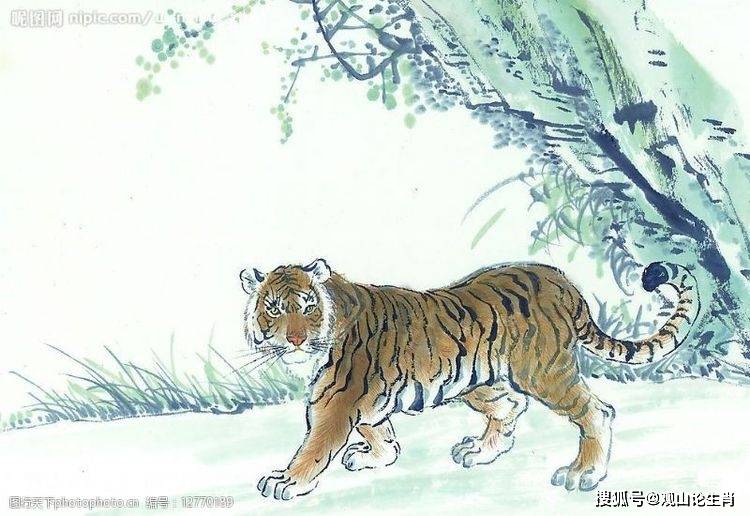 属虎女名字可以带晓字吗 属虎女名字可以带晓字吗