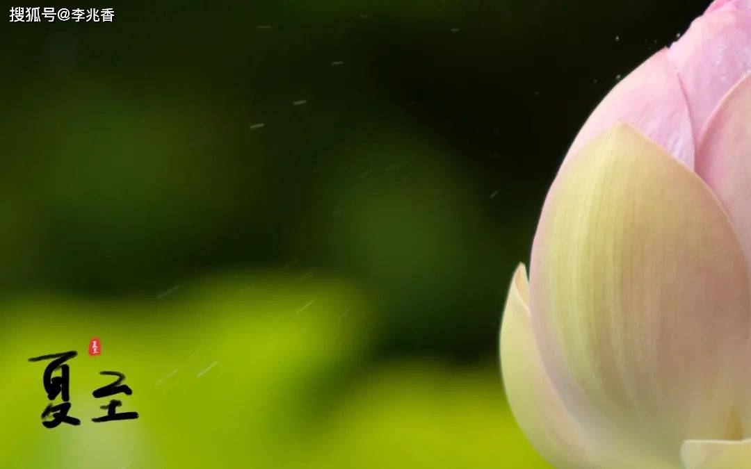 42bd9f25773d44a191d5d53c24406a30.jpeg