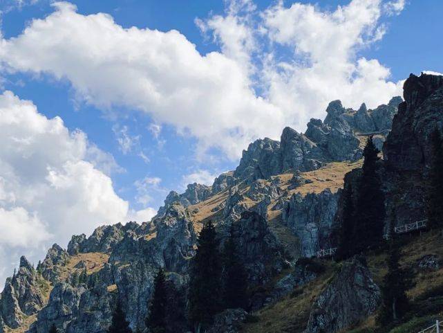 茅盾先生的天山天池之旅