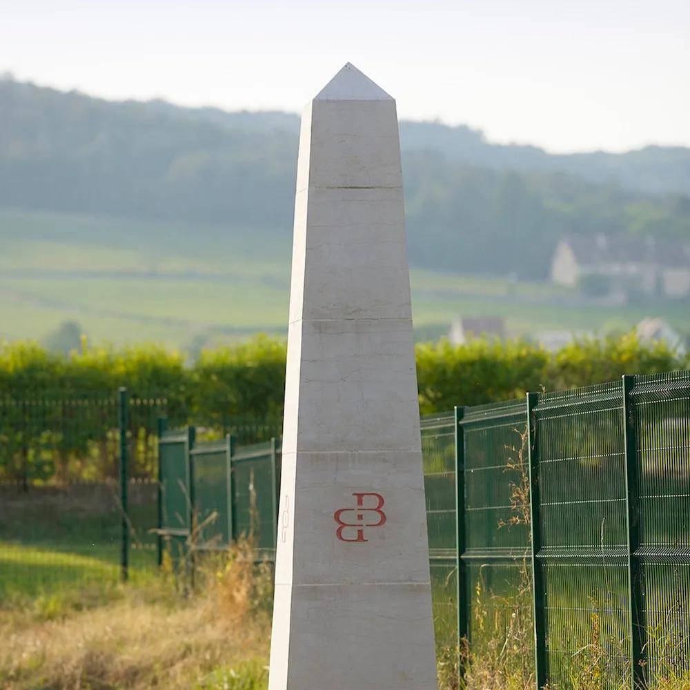 丹村(gevrey-chambertin,菲克桑村(fixin)和玛莎内村(marsannay)等地