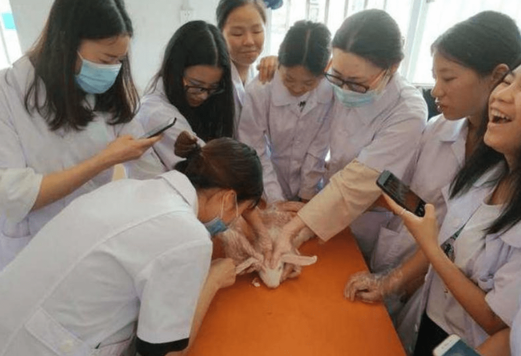原创学医的女生有多猛徒手抓青蛙都是小儿科男生看了目瞪口呆