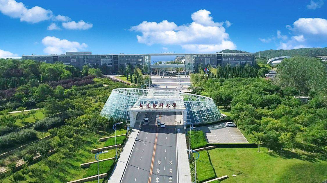 专科学校排行榜_西南地区10所大学排名,川大稳居榜首,重大仅排第3,云大第7