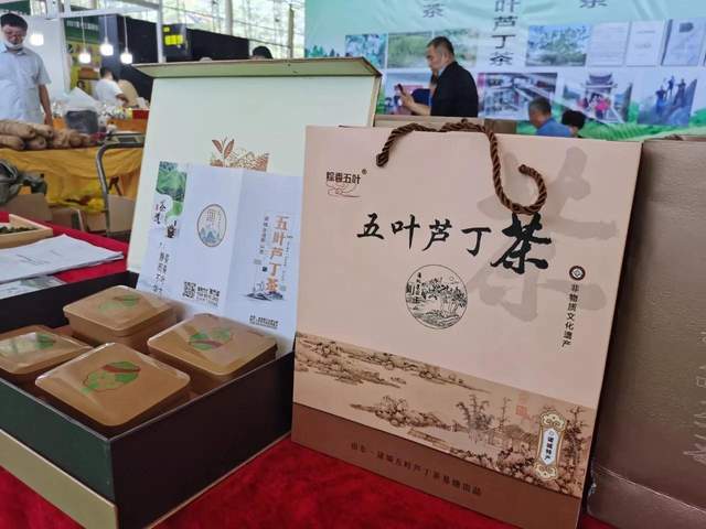 诸城五叶芦丁茶,真正的野山茶