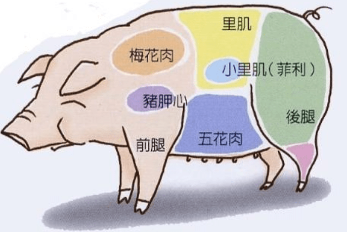 a6b66ef37dec4bb9bf2b7b5b79bf2fc9.png