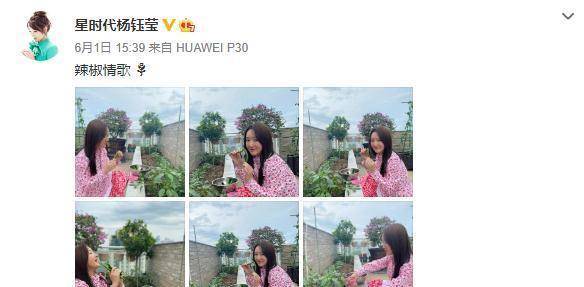 硬凹少女感翻车 49岁杨钰莹晒近照 穿碎花裙被吐槽似大妈