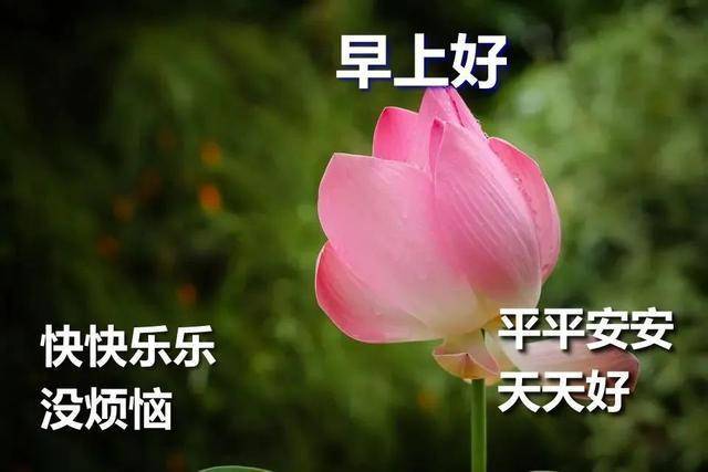 44bdba4a1e494925a32c930b84d5eec6.jpeg