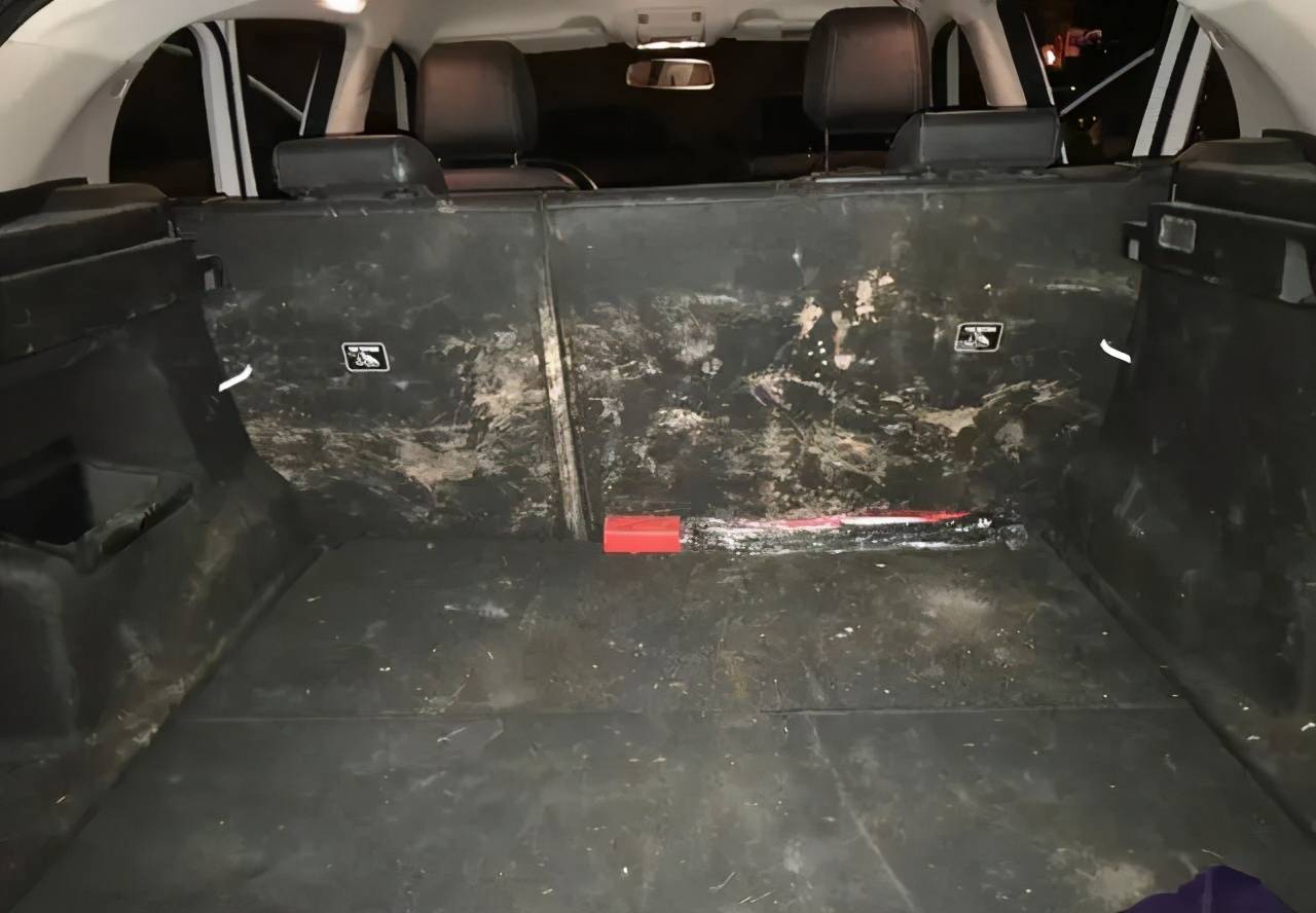 落寞的共享狂潮:被强制执行的ofo和战斗成色的联动云