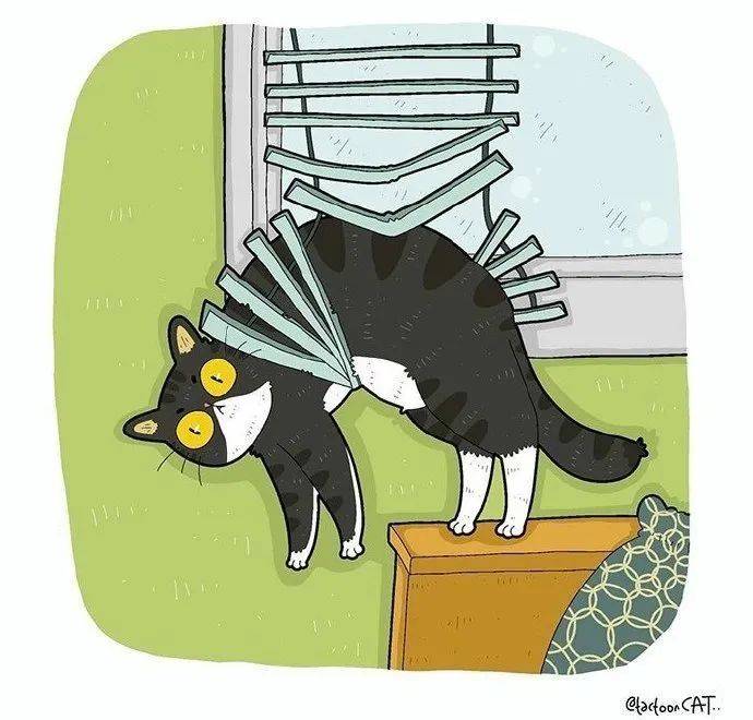 爆笑沙雕猫画大赏,每一款都可爱到犯规~_猫咪