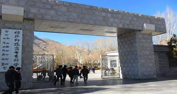 专科院校排行_西藏专科院校排名_拉萨