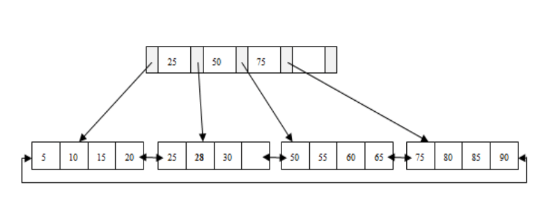 mysql索引教程_tree