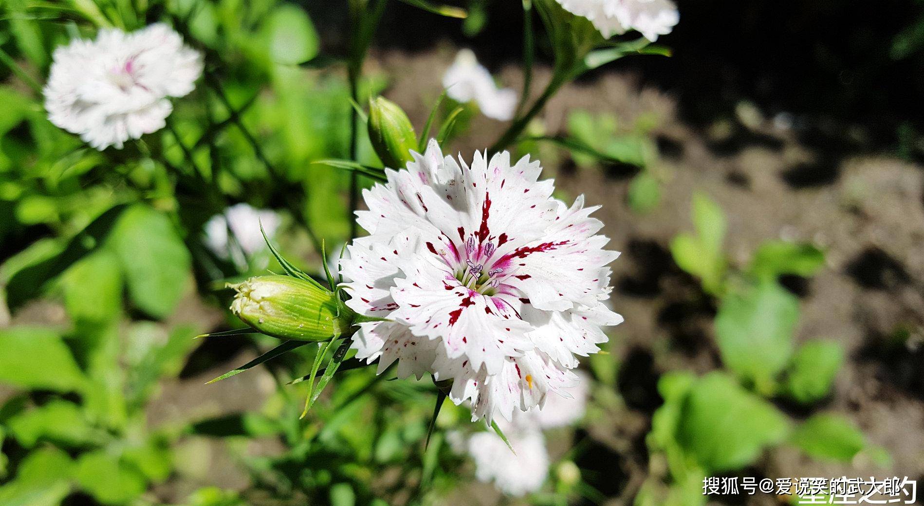 10月25日 31日星座運勢 雙子座漸入佳境 射手座拼盡全力 占星網