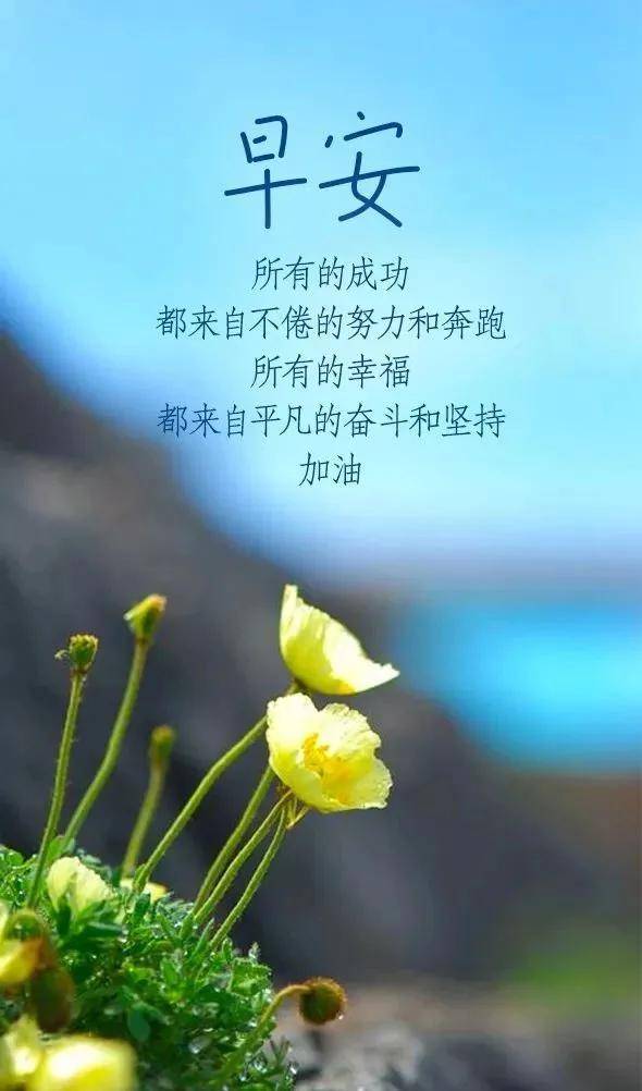 随时都可以发现生活中的小美好 fb51dfb8222147c2b38d269e73c86c94.jpeg