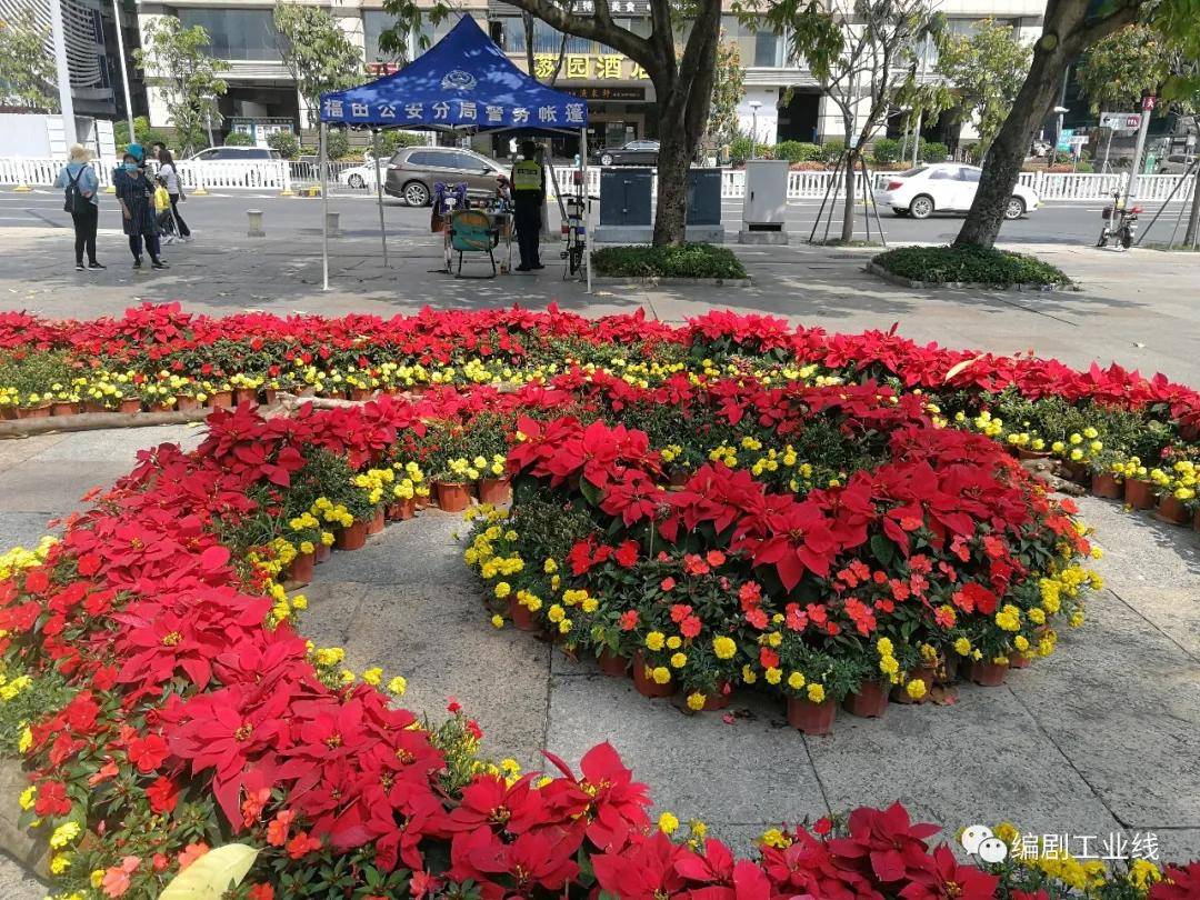 剧情梗概法制报女记者诸葛丽采访了一个被催眠师催眠后实施强奸的受害