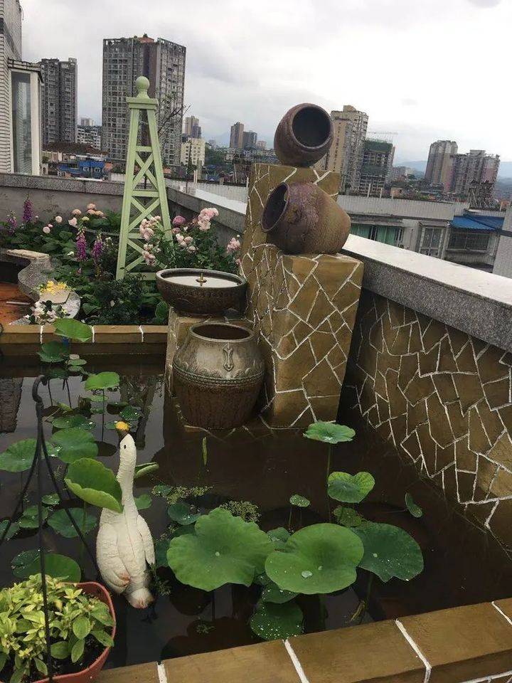 4年前,买了8楼带240㎡露台的顶层房,如今成了全小区最美的屋顶_花园