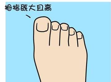 什么是享福命脚型图解