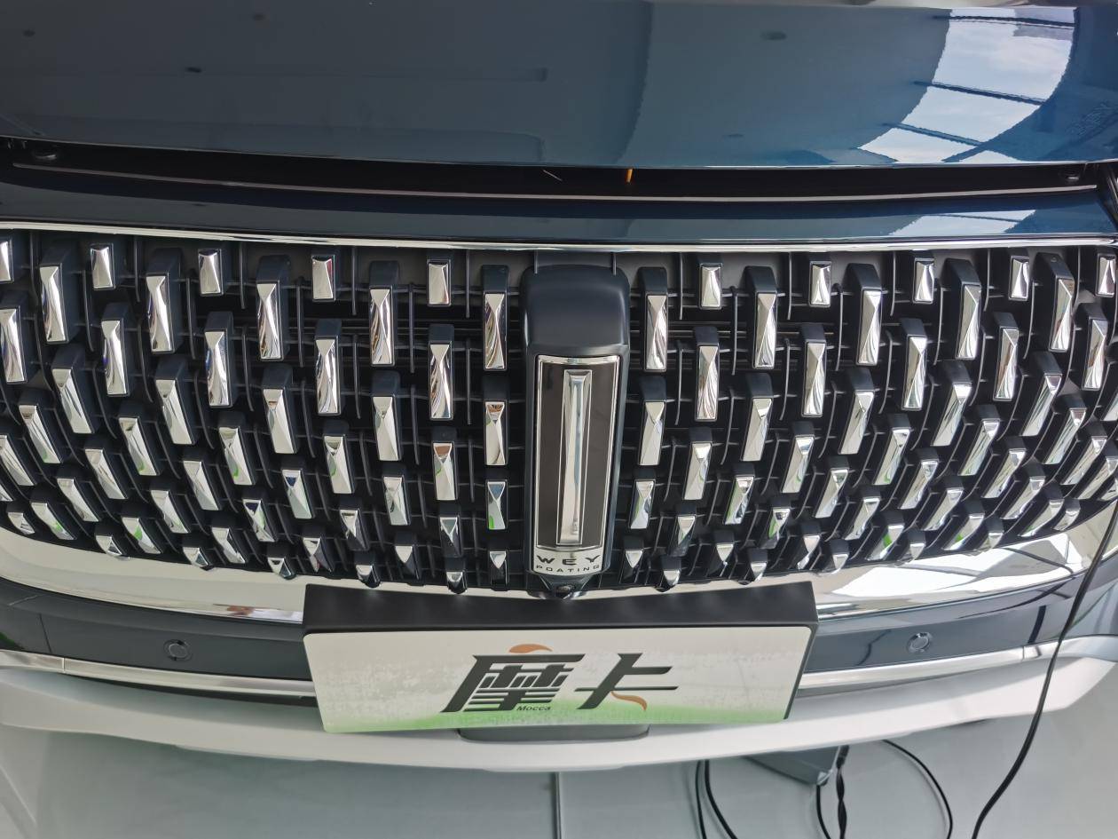 摩卡的旗杆车标非常有立体,我也去也看过朋友开的vv7,但摩卡的车标比