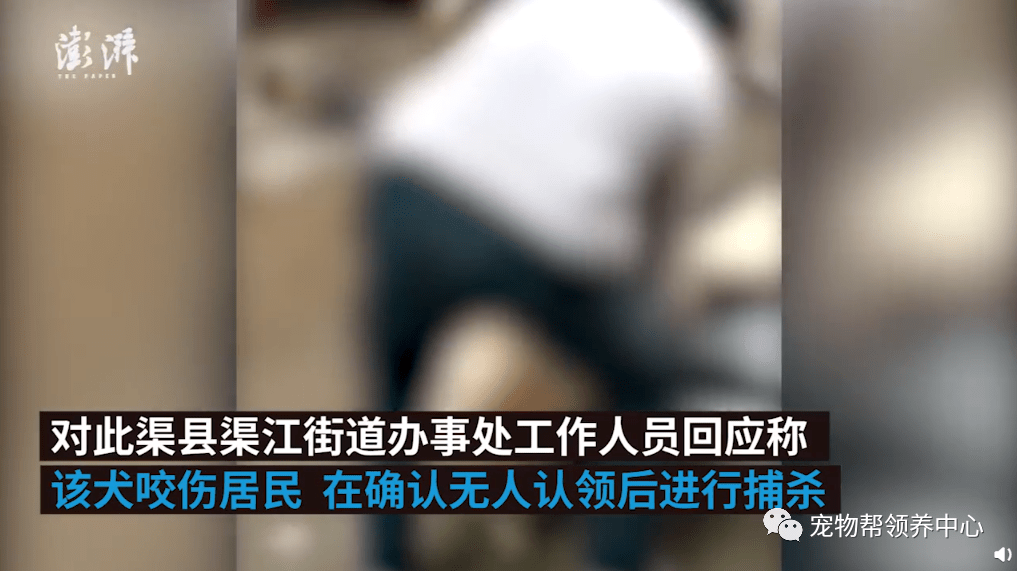 340a64fad0d14e96a4178df3146de5dc.png