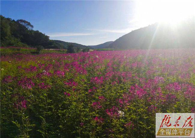 一心即游客接待中心,六区即生态停车区,紫云海,花涧溪,百花园,童乐湾