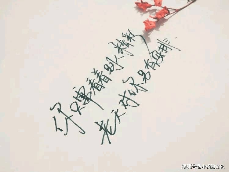 7c88c7934cc545189d41cf2447115860.png
