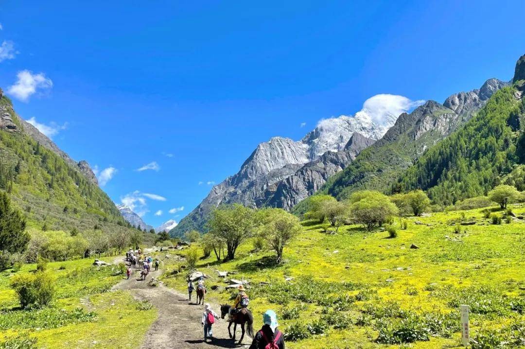 我想把四姑娘山的夏天打包送給你