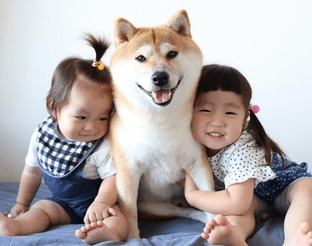 a559b5c6955548ca8d8823e227f42bb8.png