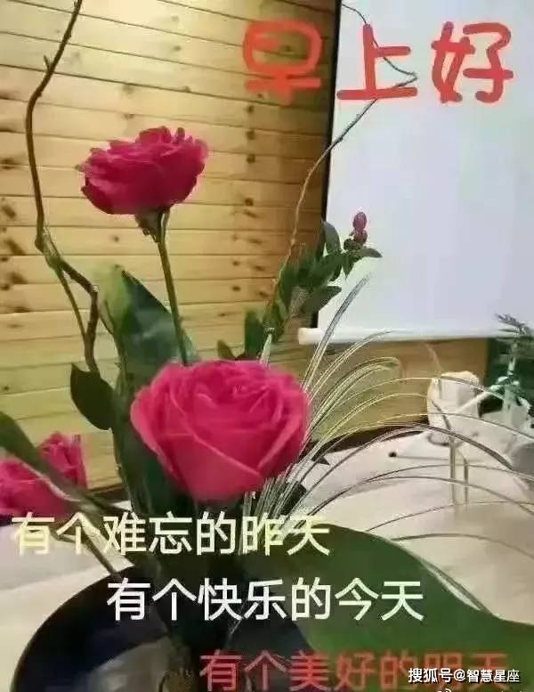 親愛的,早